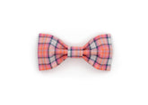 The Tedd Pet Bowtie